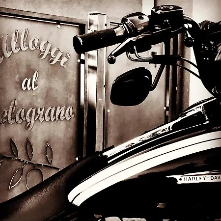 Alloggi Al Melograno * Marcon
